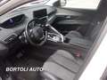 Peugeot 3008 BlueHDi 130 45.000 KM EAT8 ALLURE PACK AUTOMATICA Blanc - thumbnail 9