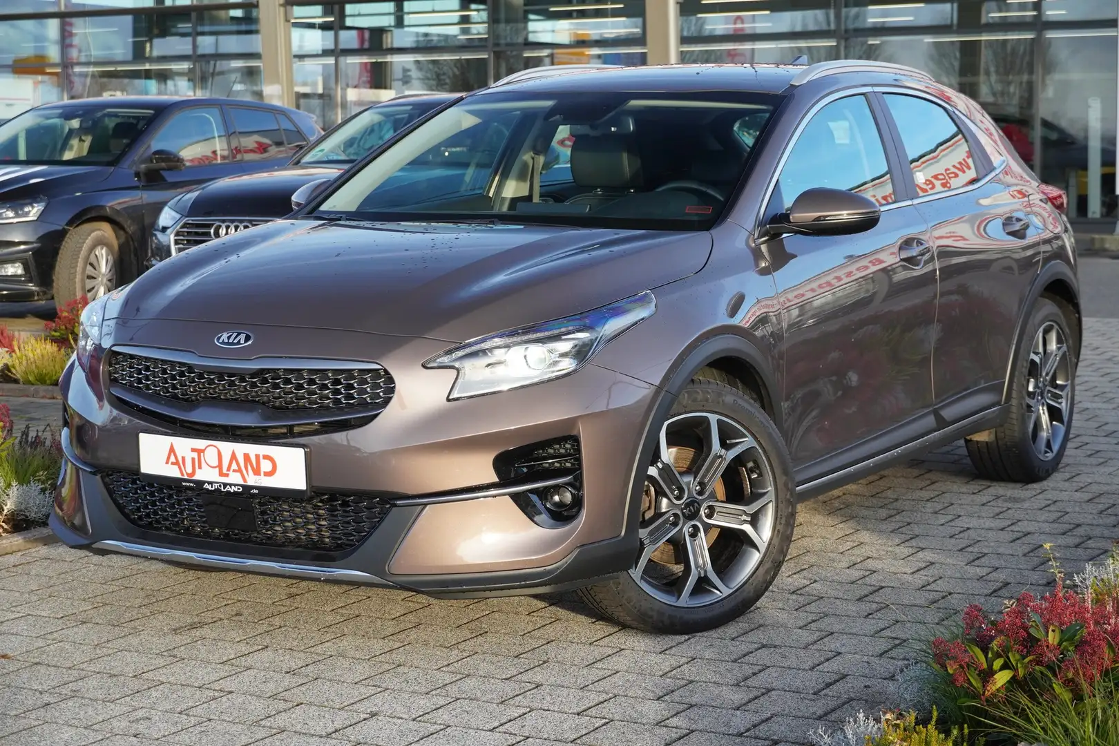 Kia XCeed 1.5 T-GDI Spirit LED Navi Tempomat Kamera Braun - 2