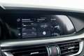 Alfa Romeo Stelvio 2.2 Veloce Q4 210 Aut. Gris - thumbnail 29