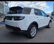Land Rover Discovery Sport 2.0D I4-L.Flw 150 CV AWD Auto S Bianco - thumbnail 8