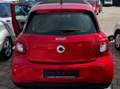 smart forFour Forfour 66 Passion Passion Rojo - thumbnail 3