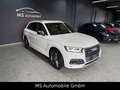 Audi SQ5 3.0 TDI quattro Top Ausstattung Weiß - thumbnail 8