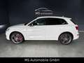 Audi SQ5 3.0 TDI quattro Top Ausstattung Weiß - thumbnail 3