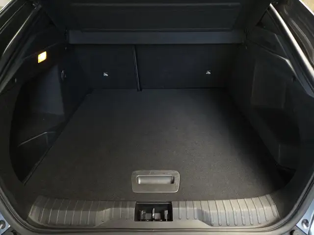 Renault Arkana view 11