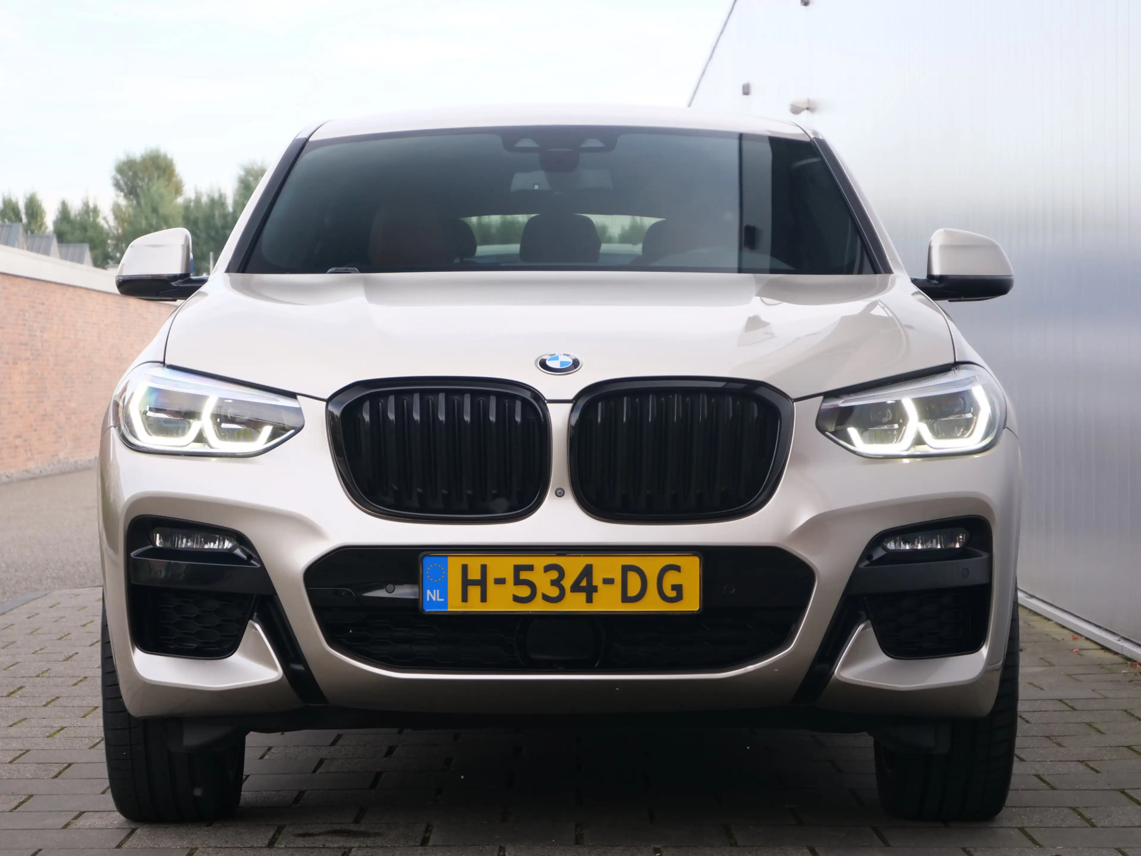 BMW X4 xDrive20i High Executive Edition 184 Pk Automaat M — photo 5