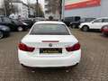 BMW 440 4 Cabrio 440 i M Sport Blanco - thumbnail 6