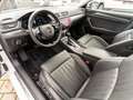 Skoda Superb Combi Premium Edition 2.0TDI PANO LEDER Weiß - thumbnail 11