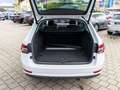 Skoda Superb Combi Premium Edition 2.0TDI PANO LEDER Weiß - thumbnail 8