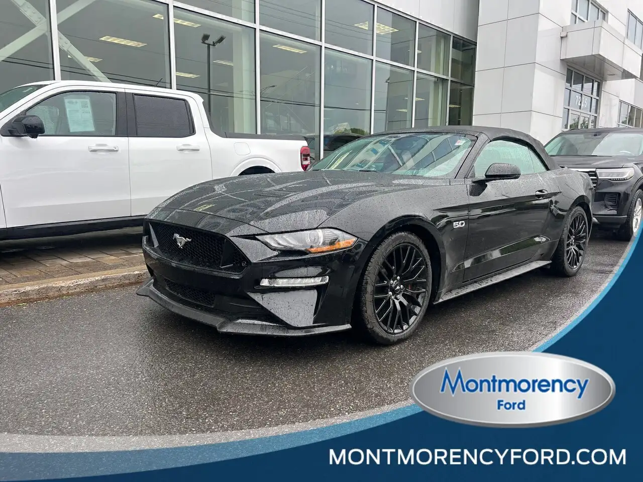 2020 Ford Mustang