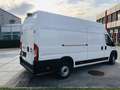 Fiat Ducato KW35 MAXI 2,2 L4H3 140Mjet *MwSt, JEDES SERVICE... Blanc - thumbnail 7