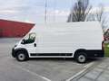 Fiat Ducato KW35 MAXI 2,2 L4H3 140Mjet *MwSt, JEDES SERVICE... Weiß - thumbnail 5