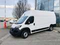 Fiat Ducato KW35 MAXI 2,2 L4H3 140Mjet *MwSt, JEDES SERVICE... Weiß - thumbnail 10