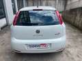 Fiat Punto Punto III 2012 5p 1.3 mjt II 16v Street eco s Blanc - thumbnail 9