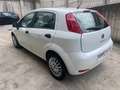 Fiat Punto Punto III 2012 5p 1.3 mjt II 16v Street eco s Blanc - thumbnail 10