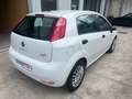 Fiat Punto Punto III 2012 5p 1.3 mjt II 16v Street eco s Blanc - thumbnail 11