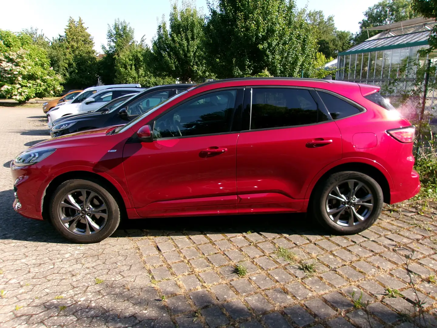 Ford Kuga ST-Line X Rot - 2