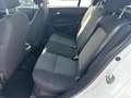 Fiat Tipo 1.4 5 porte Street OK NEOPATENTATO Weiß - thumbnail 10