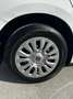 Fiat Tipo 1.4 5 porte Street OK NEOPATENTATO Weiß - thumbnail 7