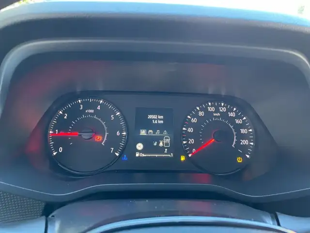 Renault Trafic view 5