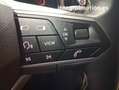 SEAT Ibiza 1.0 TSI 85kW Special Edition Xcellence Blanco - thumbnail 13
