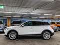 Audi Q2 Advanced 35 TFSI S tronic AHK Keyless Navi VC Weiß - thumbnail 3