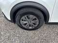 Peugeot 2008 1.2 PureTech 130 GT Line (EURO 6d) Weiß - thumbnail 11