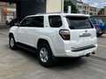 Toyota 4-Runner FULLY LOADED-ONLY FOR EXPORT OUT OF EUROPE Wit - thumbnail 19