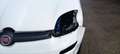 Fiat Panda van 2022 hybrid no mail Bianco - thumbnail 11