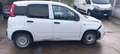 Fiat Panda van 2022 hybrid no mail Bianco - thumbnail 3