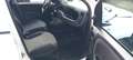 Fiat Panda van 2022 hybrid no mail Bianco - thumbnail 9