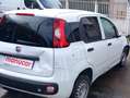 Fiat Panda van 2022 hybrid no mail Bianco - thumbnail 14