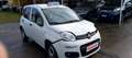 Fiat Panda van 2022 hybrid no mail Bianco - thumbnail 1