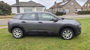 C4 Cactus 1.2 PureTech Shine