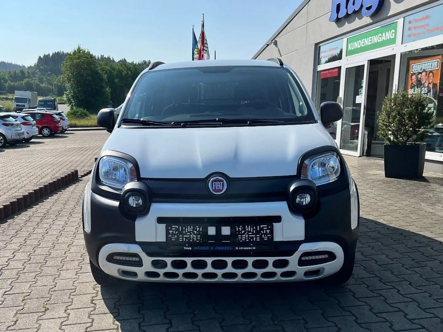 Fiat Panda Waze PDC DAB StartStopp Weiß - 2