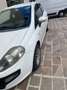 Fiat Punto Evo 3p 1.3 mjt Dynamic s&s 75cv - thumbnail 4