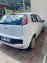 Fiat Punto Evo 3p 1.3 mjt Dynamic s&s 75cv - thumbnail 3