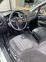 Fiat Punto Evo 3p 1.3 mjt Dynamic s&s 75cv - thumbnail 13