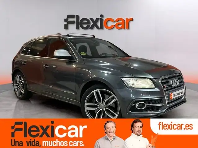 Audi SQ5 3.0TDI quattro Tiptronic 313