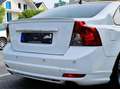 Volvo S40 D5 RDesign, TÜV/AU/Inspektion neu, Unikat White - thumbnail 6