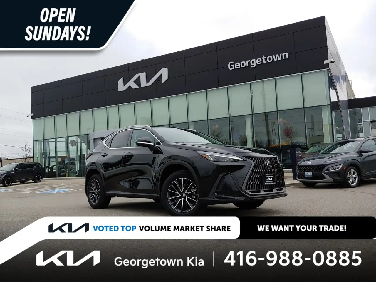 2024 Lexus NX