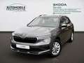Skoda Kamiq Selection 1.0 TSI DSG Kamera PDC Smart Link Gris - thumbnail 1