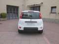 Fiat Panda 1.0 FireFly S&S Hybrid City Life 5 Posti Bianco - thumbnail 7