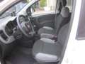 Fiat Panda 1.0 FireFly S&S Hybrid City Life 5 Posti Bianco - thumbnail 11