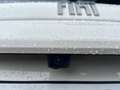 Fiat 600 600 1.2 hybrid La Prima 110cv auto Bianco - thumbnail 9