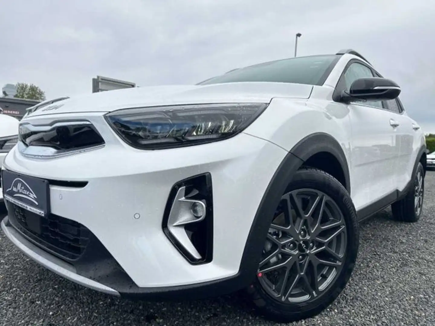 Kia Stonic 1.0 T-GDI Nightline Edition NAVI KAMERA Blanc - 2