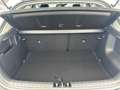 Kia Stonic 1.0 T-GDI Nightline Edition NAVI KAMERA Blanc - thumbnail 6