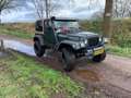 Jeep Wrangler 4.0 Sahara Tj met nieuwe apk zelena - thumbnail 4