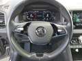 Skoda Karoq Ambition Grey - thumbnail 10