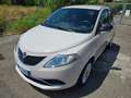Lancia Ypsilon Ypsilon III 2015 1.2 Silver 69cv Beige - thumbnail 1