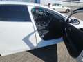 Volvo V40 V40 2.0 T2 Momentum Wit - thumbnail 12